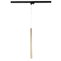 Wisząca lampa LUNGO rurka złota do systemu 1fazowego szynowego LP-894/1P GD 1F Light Prestige