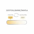 Reflektor Magnetic Slim Duo 20W CCT czarny LP-686-MAG SLIM 20W CCT BK Light Prestige